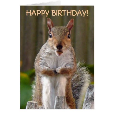 Cute Squirrel Happy Birthday Card | Zazzle