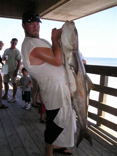 Happening at Nags Head Pier!! - Nags Head Fishing Pier