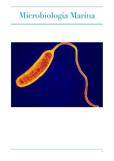 Microbiologia marina - Lo sviluppo è stato dunque permesso grazie ai ...