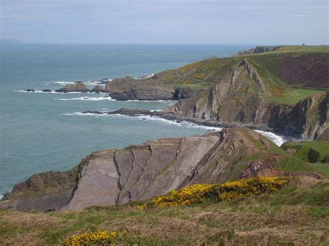 QA1 – SL270841 Devon cliffs « The Geology Trusts