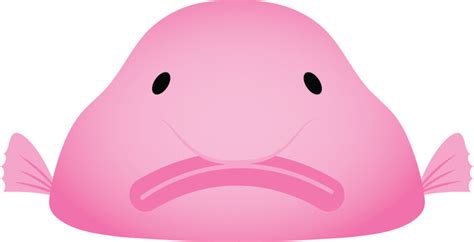 Blobfish - Free animals icons - Clip Art Library