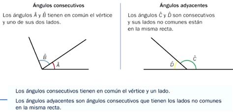 ¿Cuáles son los ángulos adyacentes? - Tipos de ángulos