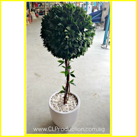 Artificial Topiary Plant w/ Vine – CLP Production Pte Ltd