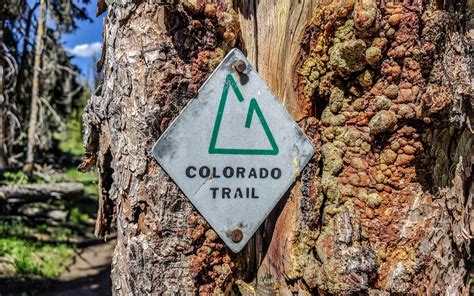 Continental Divide Trail Week 9: Moist Is Dead? | Halfway Anywhere