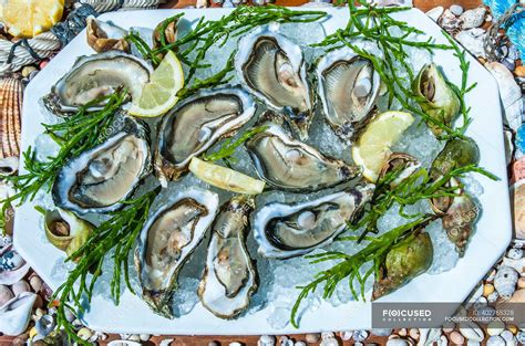 France, Arcachon bay, oysters — Basic food, Citrus Fruit - Stock Photo ...