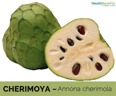 Cherimoya facts and health benefits