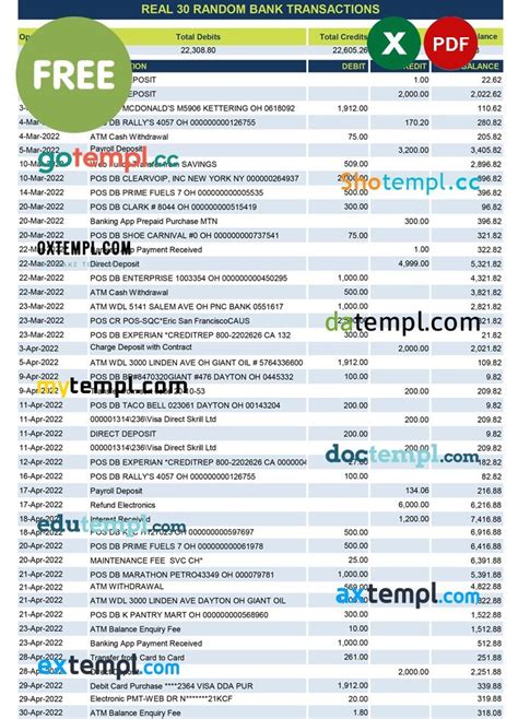 real 30 random bank transactions Excel and PDF template