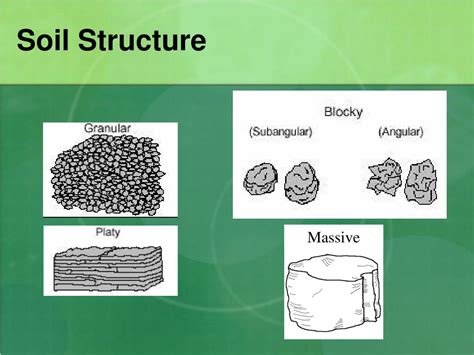 PPT - Growing Plants Hydroponically vs. In Soil: PowerPoint ...