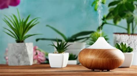 11 Essential Oils Diffuser Benefits | Life Beyond Organic