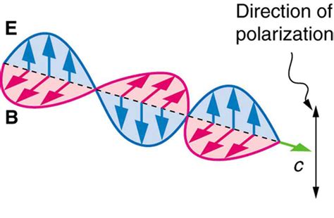 27.8 Polarization – College Physics