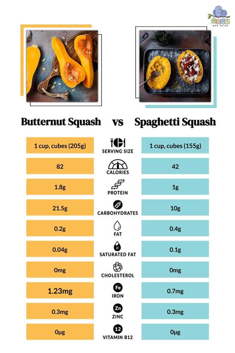 Butternut Squash vs. Spaghetti Squash: Are They the Same & Full Nutrition Comparison