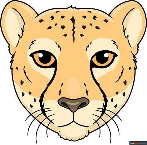 How to Draw a Cheetah Face - Really Easy Drawing Tutorial