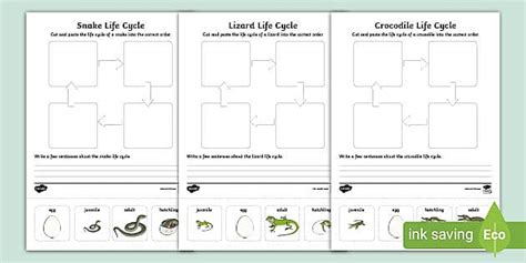 KS1 Reptiles Life Cycle Pack (Teacher-Made) - Twinkl