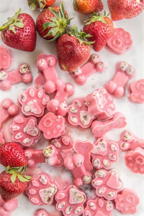 Can Dogs Have Strawberries? A Berry Special Treat - This Mess is Ours