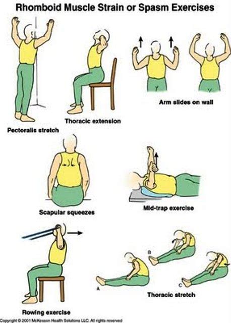 EXCLUSIVE PHYSIOTHERAPY GUIDE FOR PHYSIOTHERAPISTS: 3/1/11 - 4/1/11