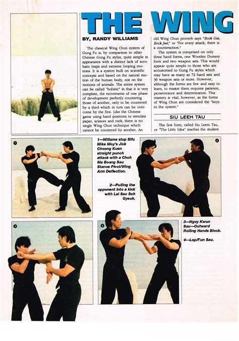 Wing Chun Fighting Moves - How to Self Defense