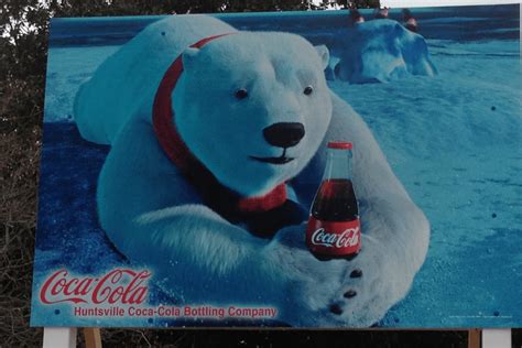 Coca-Cola Polar Bears: Learn About the History of These Cute Mascots