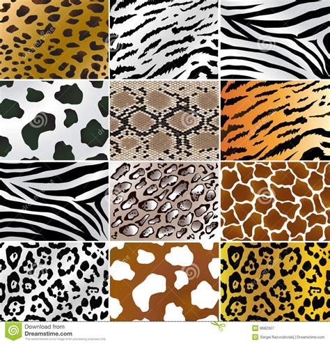 animal skin patterns - Google 검색 | De dierentuin, Wilde dieren, Dieren