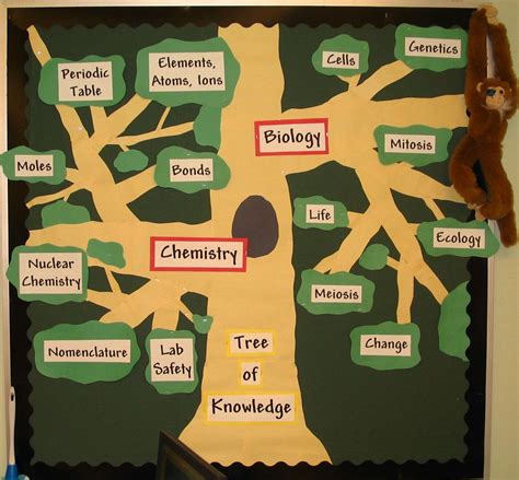 Biology Bulletin Board Ideas – Mark Library