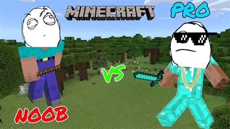 NOOB VS PRO - MINECRAFT - YouTube