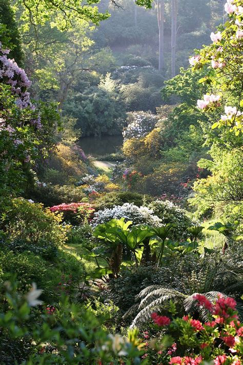 Leonardslee Lakes & Gardens, Lower Beeding, Horsham, West Sussex | Garden history, Lake garden ...