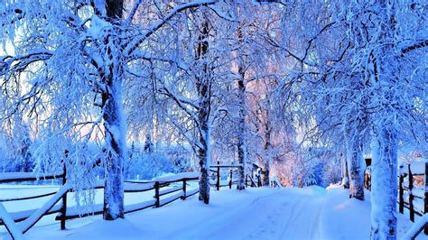 Pretty Pictures Of Winter