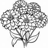 Zinnia Flower Outline Illustration coloring book Page Design  sketch template