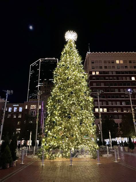 sundance-square-christmas-tree | MedStar911