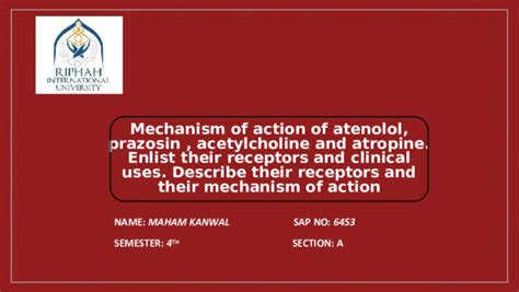 (PPT) Mechanism of action of atenolol, prazosin