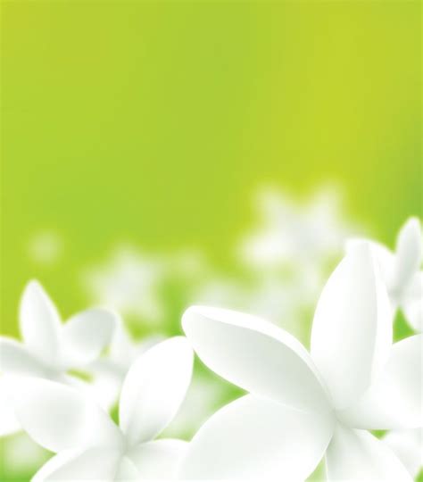 Adobe Illustrator - Beautiful free flower background vector with green surroundings and white ...