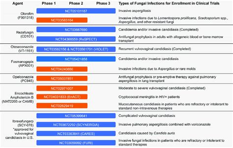 | New antifungal drugs in the clinical pipeline. Antifungals that are... | Download Scientific ...