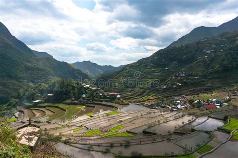 Rice plantations stock image. Image of landscape, irrigation - 55810353