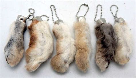 6 Natural Color Lucky RABBIT'S FOOT (Oryctolagus Cuniculus) Keychains ...