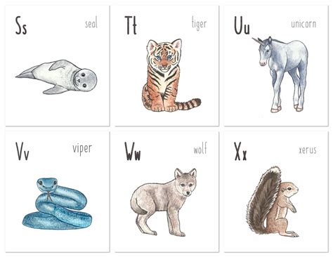 Animal Alphabet Flashcards - Etsy