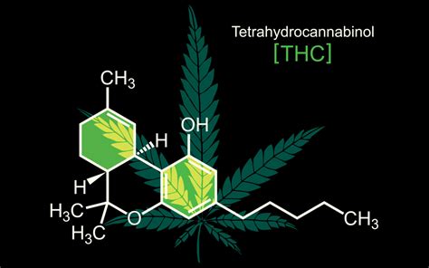 THC Molecule on Black - Illustration - TemplateMonster