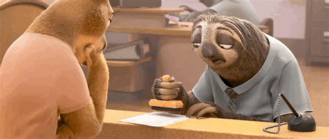 Sloth GIFs - Find & Share on GIPHY