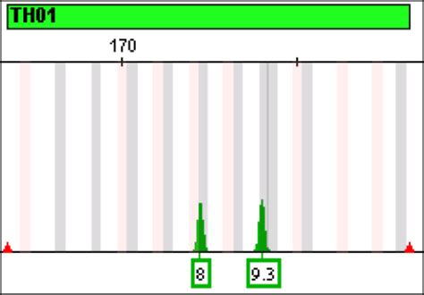 2. An electropherogram indicating the genotyping result for one sample... | Download Scientific ...