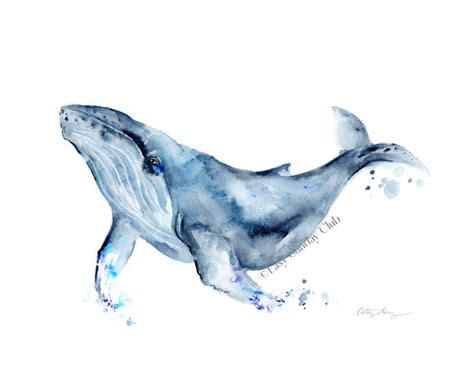 Humpback Whale "Walter" Watercolor Art Print | Under the Sea – Easy ...