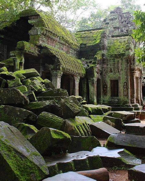 an ancient building with moss growing on the rocks and trees in the ...