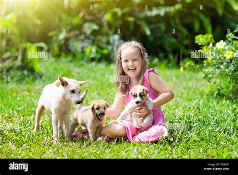 Kids play with cute little puppy. Children and baby dogs playing in ...