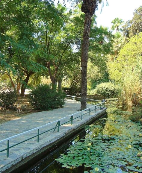 Nicosia municipal gardens | Cyprus Island