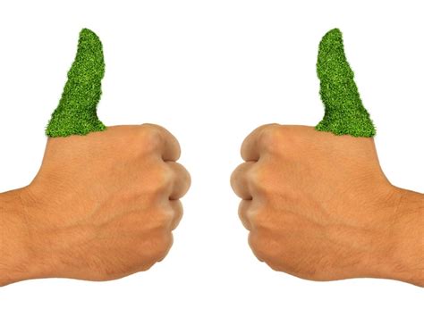 Green Thumb Gardening - Debunking The Myth Of The Green Thumb