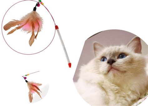 Amazon.com : Cat Interactive Feather Toy, 36" Kitty Teaser Frenzy Fun, by Pet-O-Rama : Pet Supplies