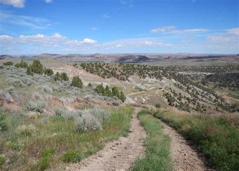 Exploring – Wyoming Dinosaur Center