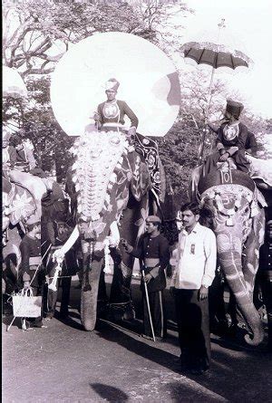 Kamat's Potpourri: The Elephants of Mysore Dasara