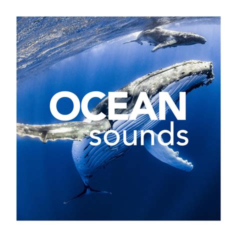 Ocean Sounds - Ocean Sounds | iHeart