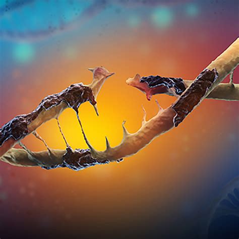 Could a mutation cause a child to have an unexpected blood type? - The Tech Interactive