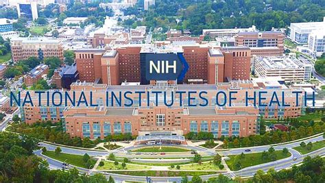 Unveiling the Powerhouse of Medical Research: The National Institutes ...