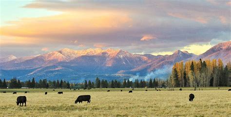 Montana Ranch Wallpaper - WallpaperSafari