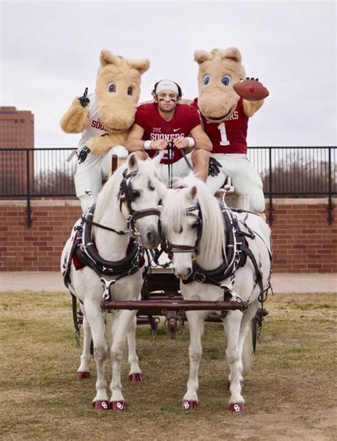 17 Best images about Boomer...Sooner...!!!!!!!! on Pinterest | Terry o ...